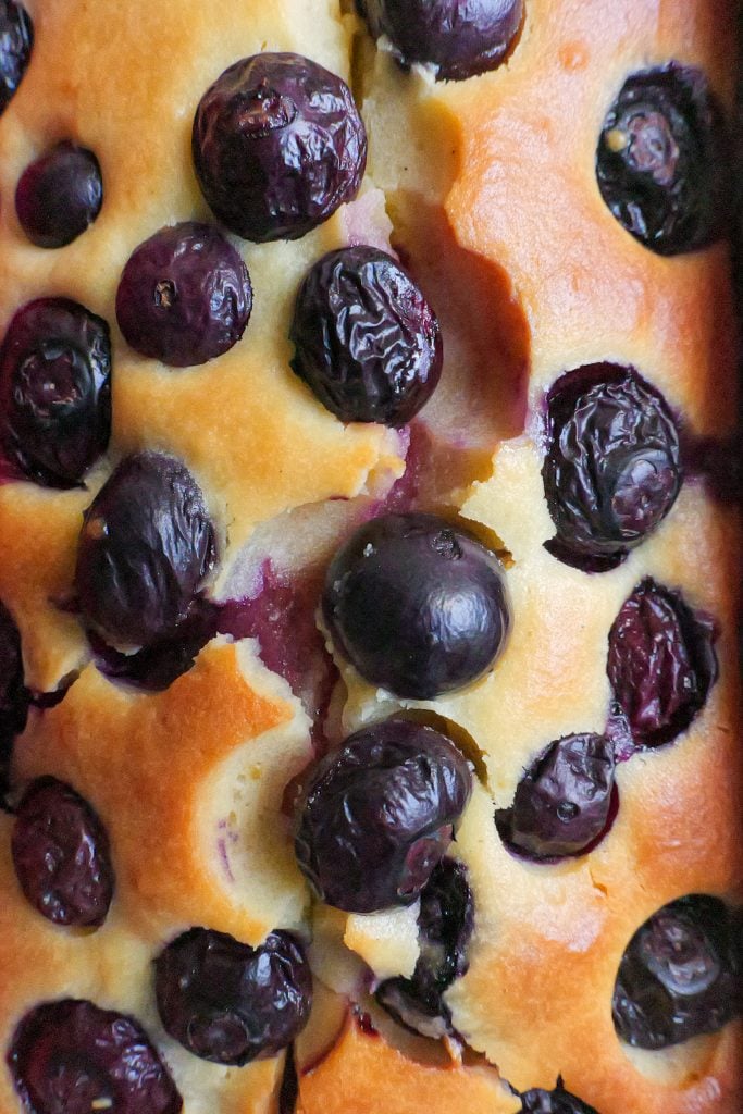 blueberry yoghurt cake