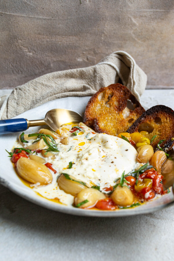 Roasted garlic and tomato burrata