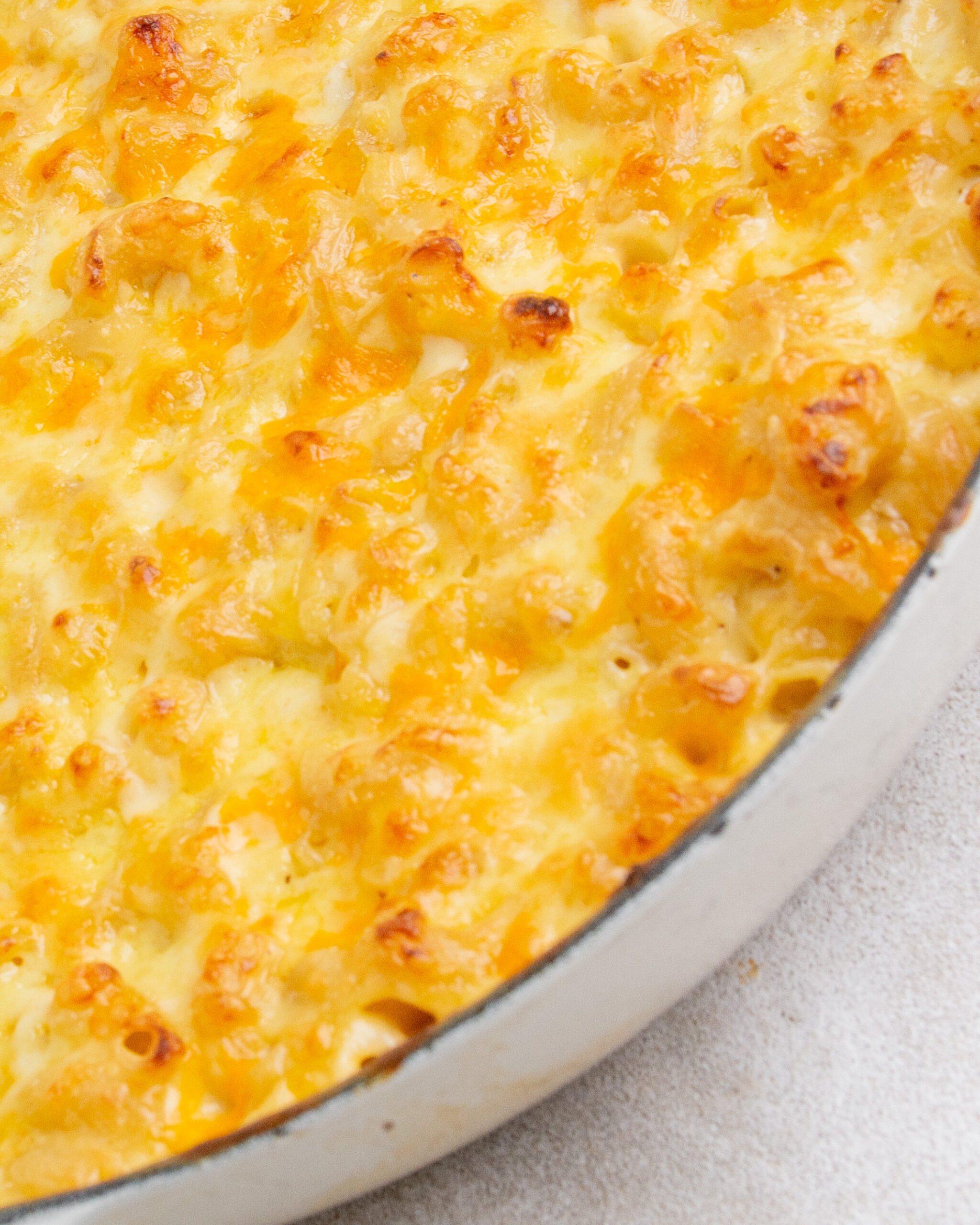 Baked mac and cheese with garlic confit is in large white baking tray and is golden on top. 