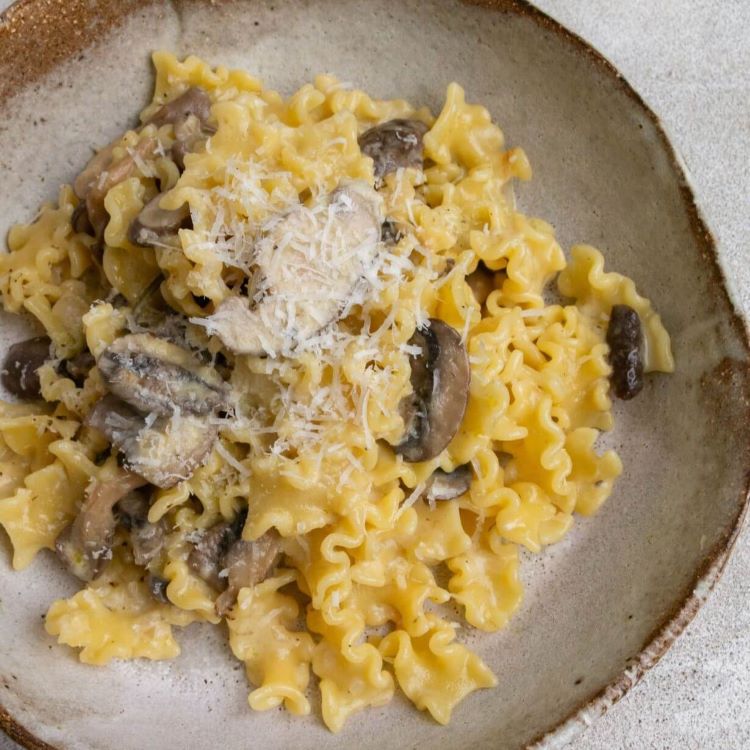 creamy mushroom pasta