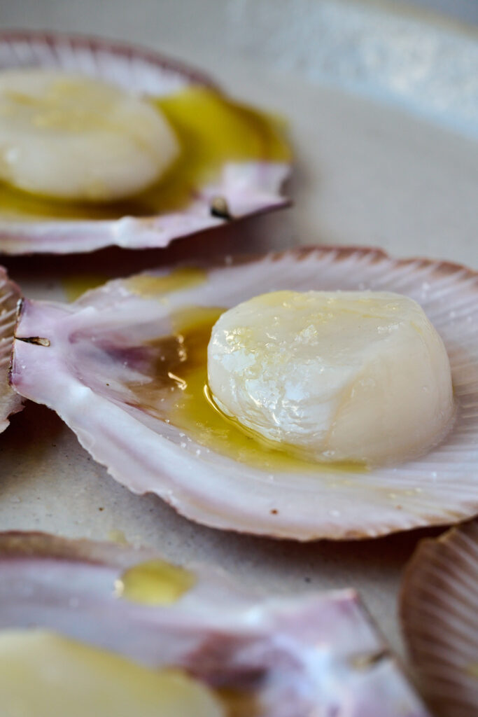 Scallops in shell with olive oil