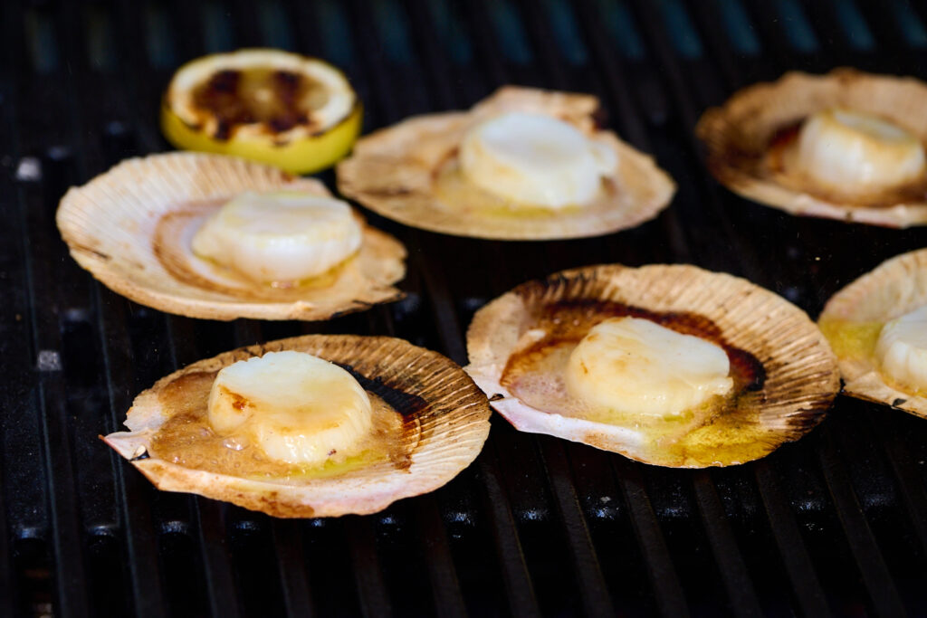 BBQ grilled scallops