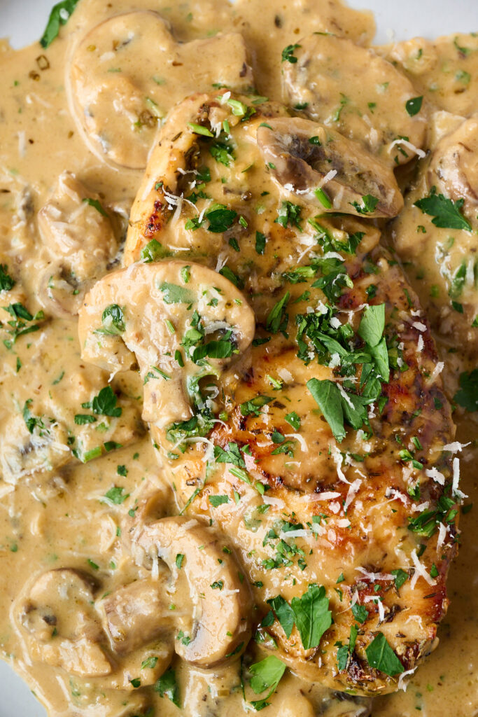 Chicken breast in creamy mushroom sauce. Close up image