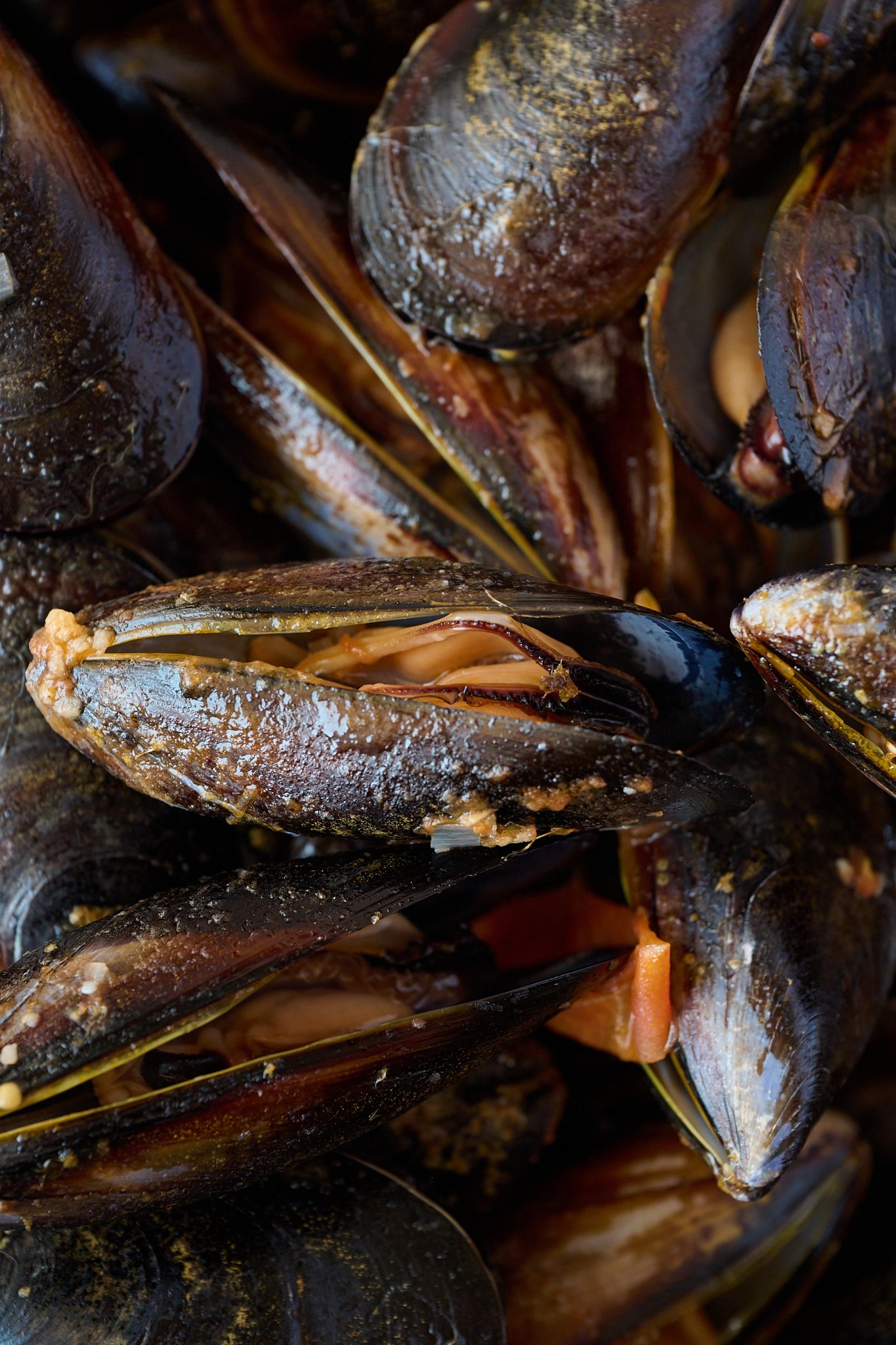 Close up image of mussels that have been steamed and are open