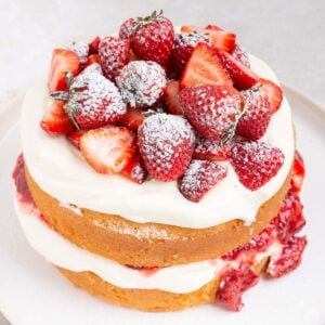 two layer strawberry sponge cake with powdered sugar garnish.