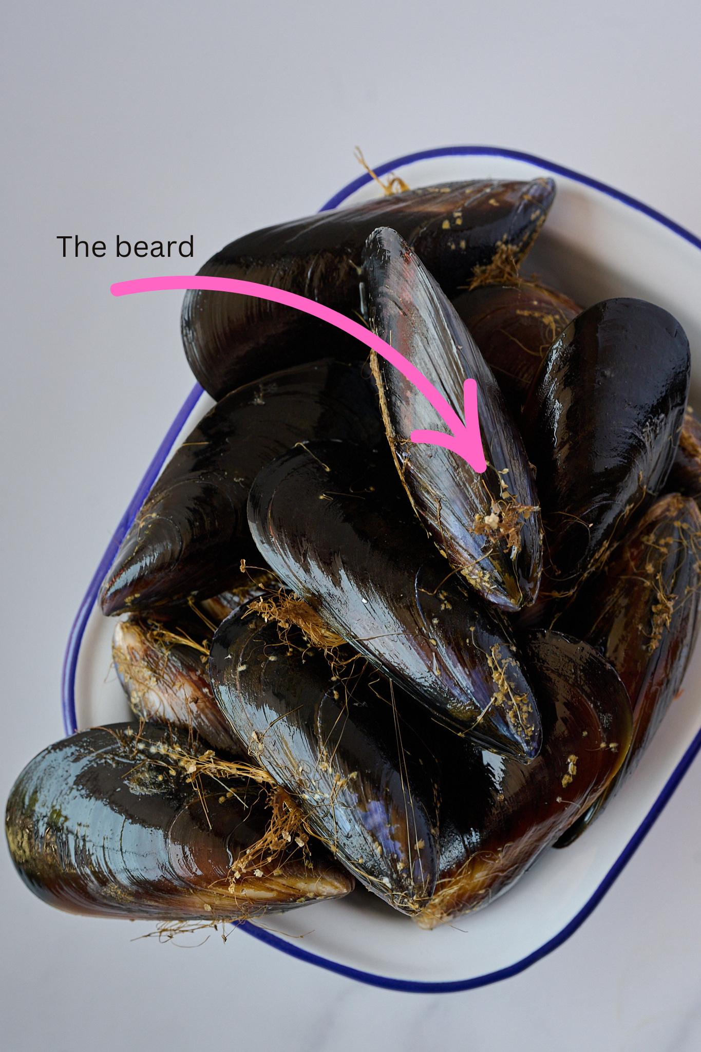Image of mussels with a pink arrow pointing to the beard of the mussel 