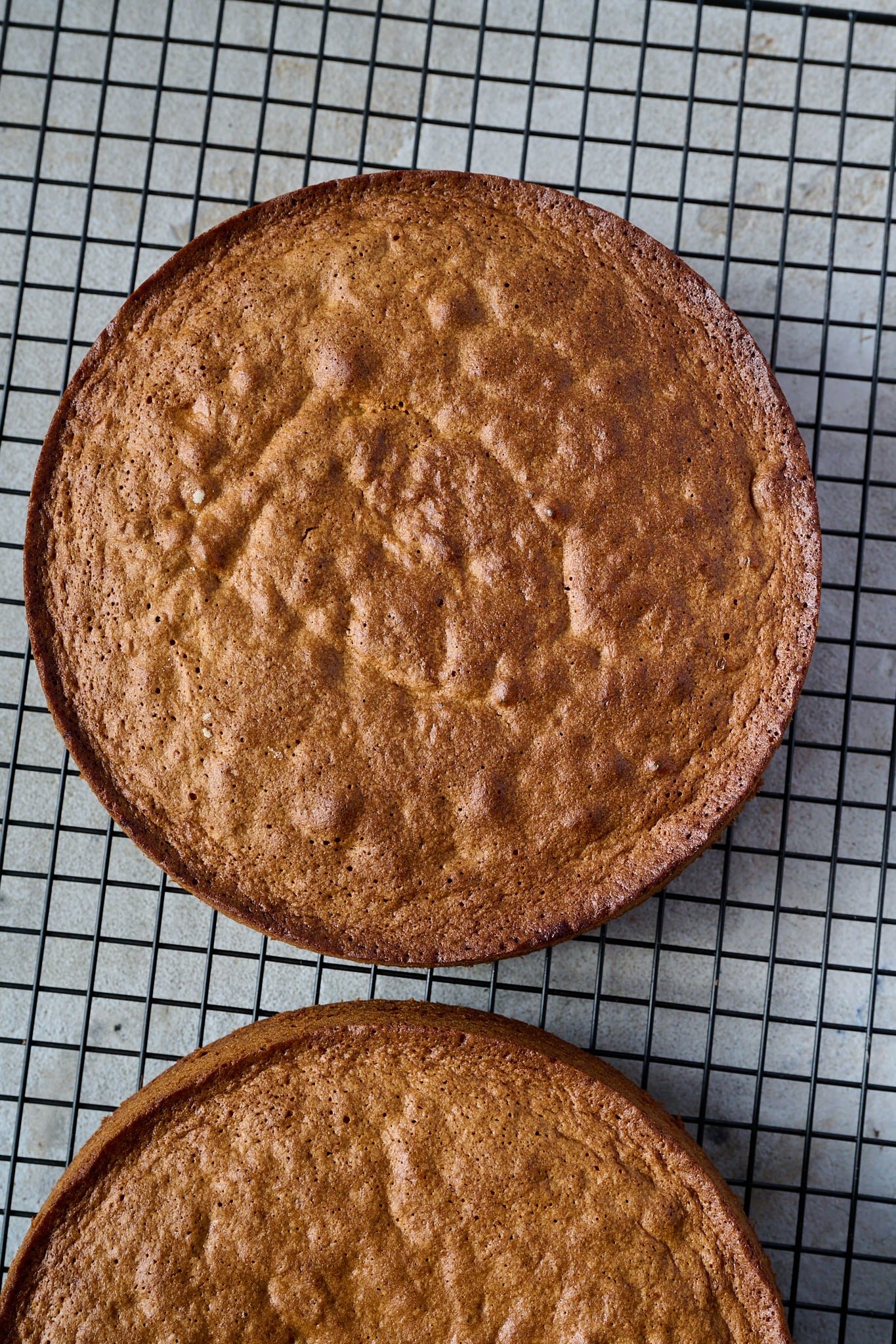 White Chocolate, Pistachio & Raspberry Olive Oil Cake sits on a cooling rack. It has not been assembled yet.